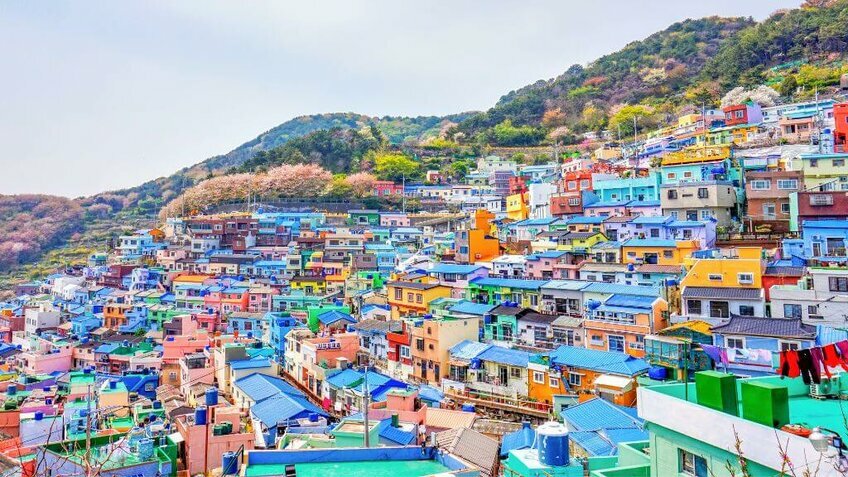 Busan - Jeju 6N5Đ: Thiên Đường Biển Đảo – Hawaii xứ Hàn