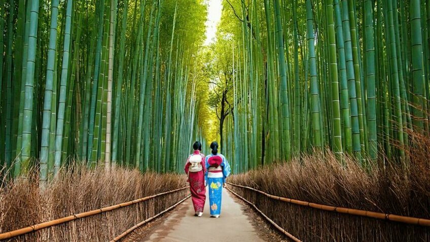 Tour Nhật Bản 6 Ngày 5 Đêm | Osaka – Kyoto – Núi Phú Sĩ – Tokyo – Narita Khởi Hành Từ TP.HCM