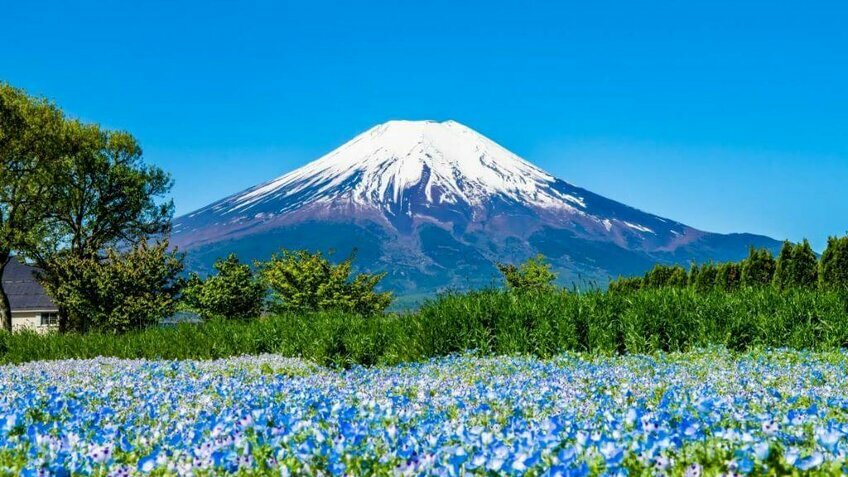 Tour Nhật Bản 6 Ngày 5 Đêm | Osaka – Kyoto – Núi Phú Sĩ – Tokyo – Narita Khởi Hành Từ TP.HCM