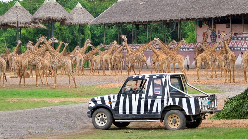 Hồ Chí Minh - Bangkok - Pattaya - Safari World 5N4Đ