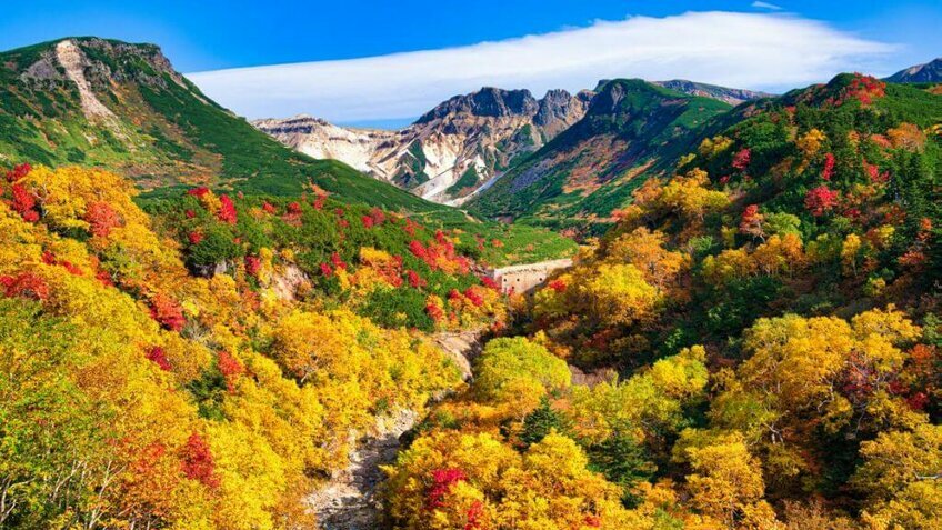 Săn Lá Đỏ Rực Rỡ Tại Hokkaido 6N5Đ - Tour Thiết Kế Riêng| Khởi Hành Từ Hà Nội