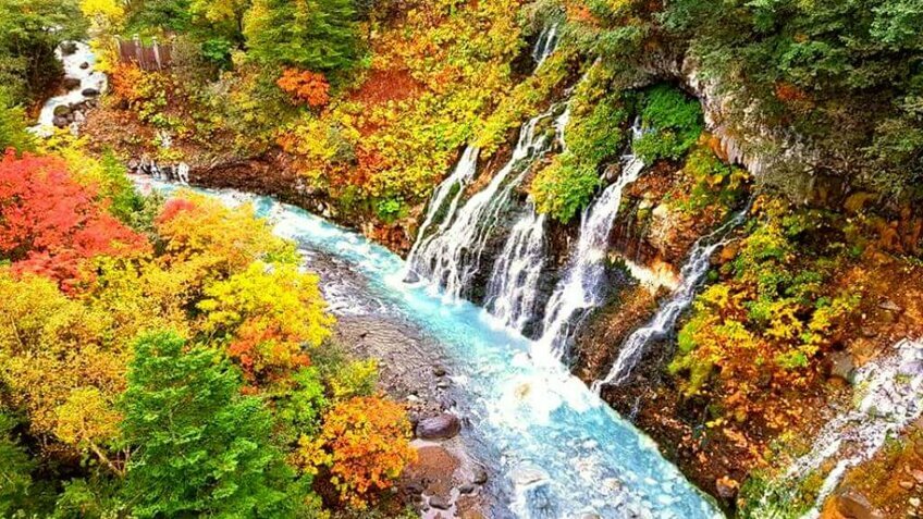 Săn Lá Đỏ Rực Rỡ Tại Hokkaido 6N5Đ - Tour Thiết Kế Riêng| Khởi Hành Từ Hà Nội