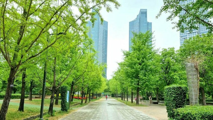 Tour Cao Cấp: Seoul - Nami - Everland 5N4Đ | No Shopping | Bay Giờ Đẹp Vietnam Airlines