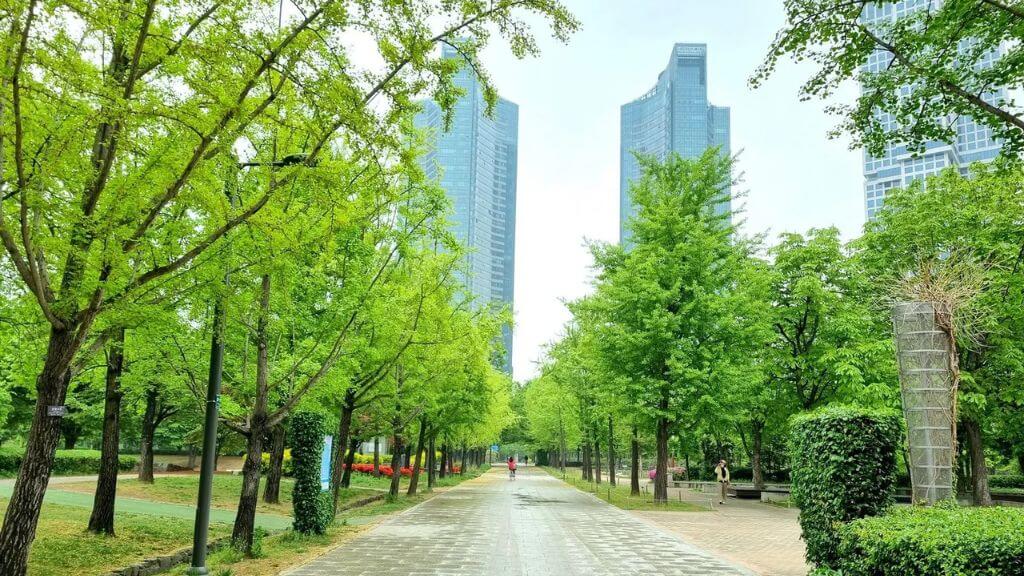 Seoul Forest Park - công viên có quy mô lớn thứ 3 tại Seoul với diện tích lên đến 1 200 ha