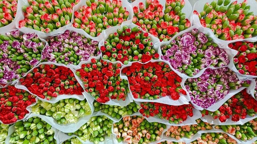 Tour Hải Phòng - Hà Nội - Lào Cai - Hà Khẩu - Đại Lý - Côn Minh 4N4Đ