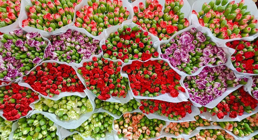 Chợ hoa Đấu Nam thiên đường hoa lớn bậc nhất Trung Quốc