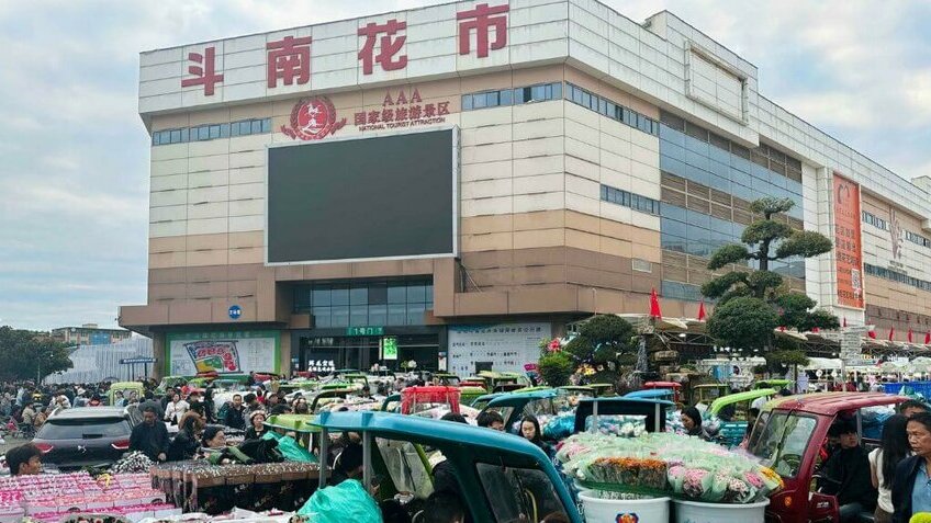 Tour Hải Phòng - Hà Nội - Lào Cai - Hà Khẩu - Đại Lý - Côn Minh 4N4Đ