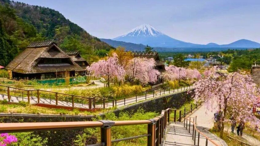 Tour Nhật Bản Tết Nguyên Đán 5N5Đ | Fujiten Snow Resort - Shirakawago - Núi Phú Sĩ