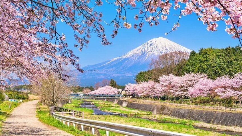 Tour Nhật Bản Tết Nguyên Đán 5N5Đ | Fujiten Snow Resort - Shirakawago - Núi Phú Sĩ