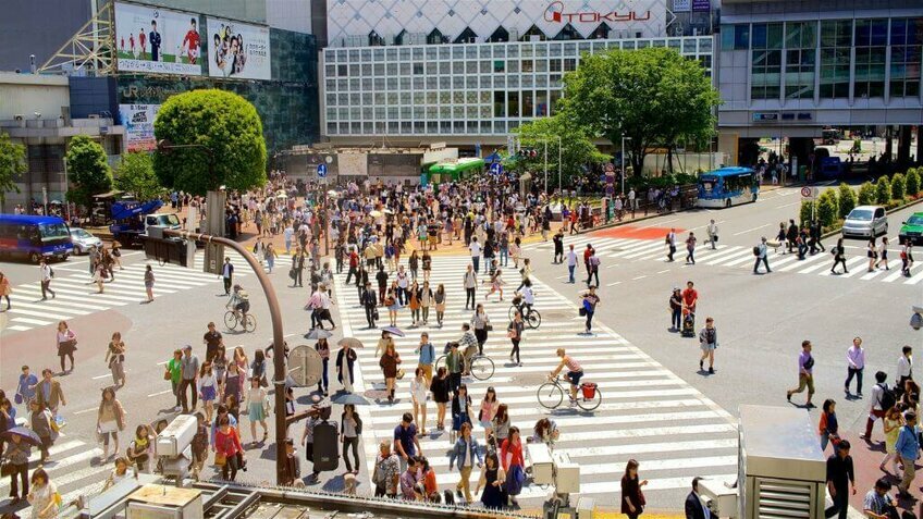 Tour Tokyo Nhật Bản 4N4Đ: HCM - Tokyo - Núi Phú Sĩ