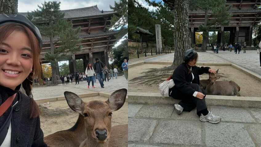 5N4Đ Tự Do Khám Phá Từ Thành Phố Nagoya Đến Làng Cổ Shirakawa