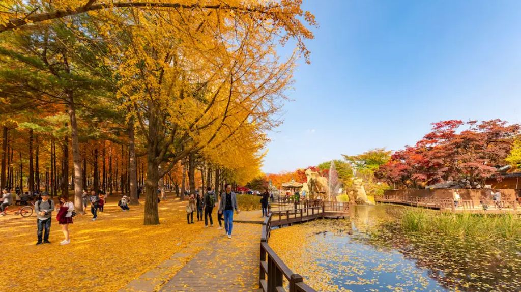 Checkin đảo Nami hòn đảo lãng mạn bật nhất xứ kim chi