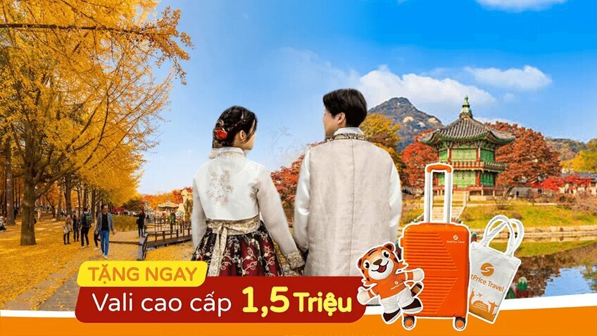 Busan - Seoul 6N5Đ: Từ Cố Đô Gyeongju đến Ulsan Hiện Đại | Hành Trình Yêu Thích | Bay Vietnam Airlines