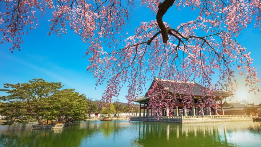 Busan - Seoul 6N5Đ: Từ Cố Đô Gyeongju đến Ulsan Hiện Đại | Hành Trình Yêu Thích | Bay Vietnam Airlines
