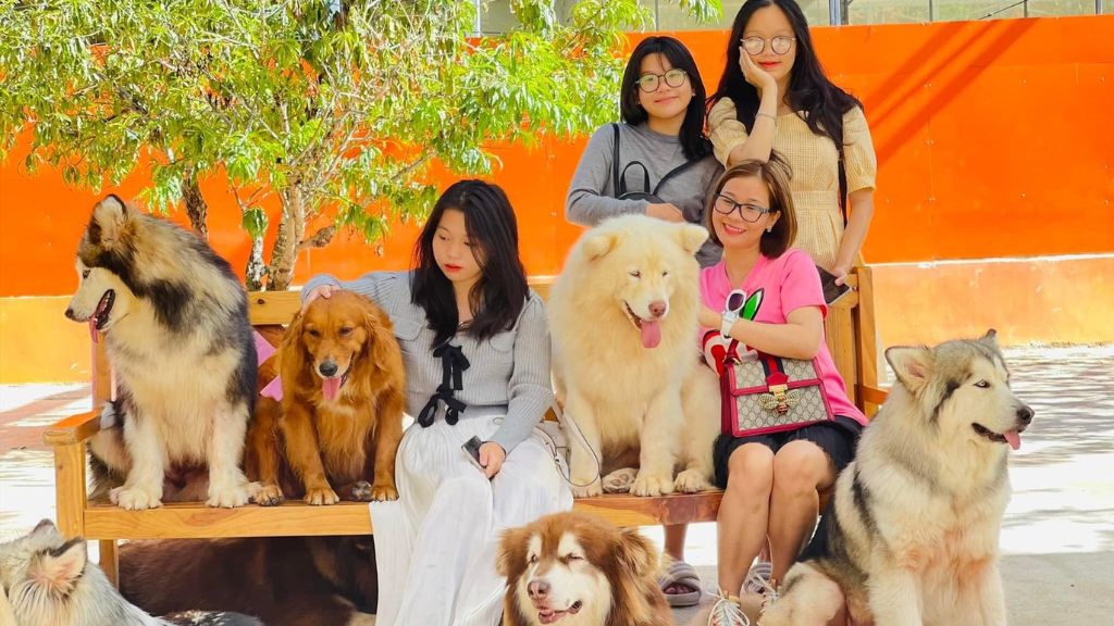 Puppy Farm - điểm đến không thể bỏ qua trong tour du lịch Đà Lạt