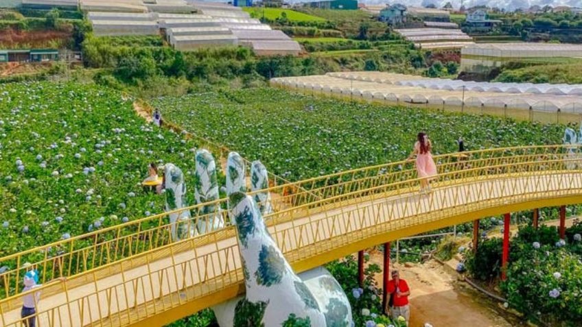 Tour Đà Lạt 3 Ngày 3 Đêm | Chuồn Chuồn Bistro - Puppy Farm - Thác Pongour | Vietpower Travel