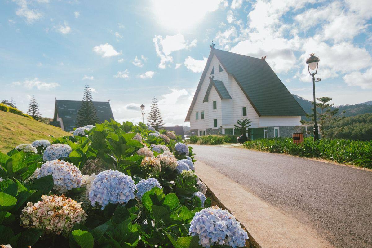Tour Nha Trang Đà Lạt 4 Ngày 3 Đêm | VinWonders - Thác Datanla - Green Hills