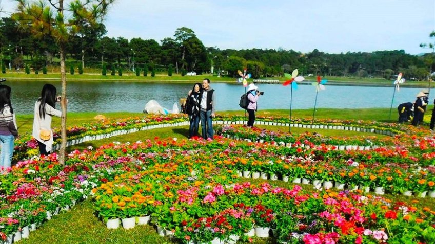 Tour Đà Lạt Nha Trang 5 Ngày 4 Đêm | Dinh Bảo Đại – Thiền Viện Trúc Lâm | Vietpower Travel