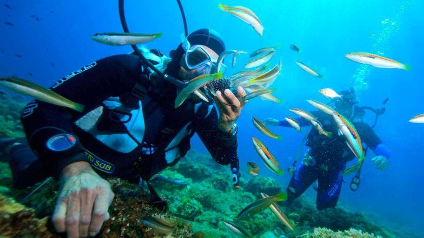 Tour Đà Lạt Nha Trang 5 Ngày 4 Đêm | Dinh Bảo Đại – Thiền Viện Trúc Lâm | Vietpower Travel