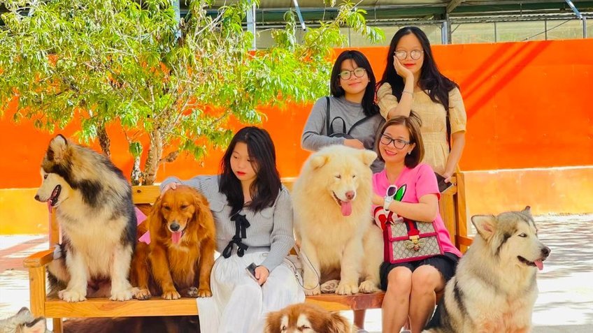 Đà Lạt: Thác Dantala - Puppy Farm - Núi LangBiang 4N3Đ