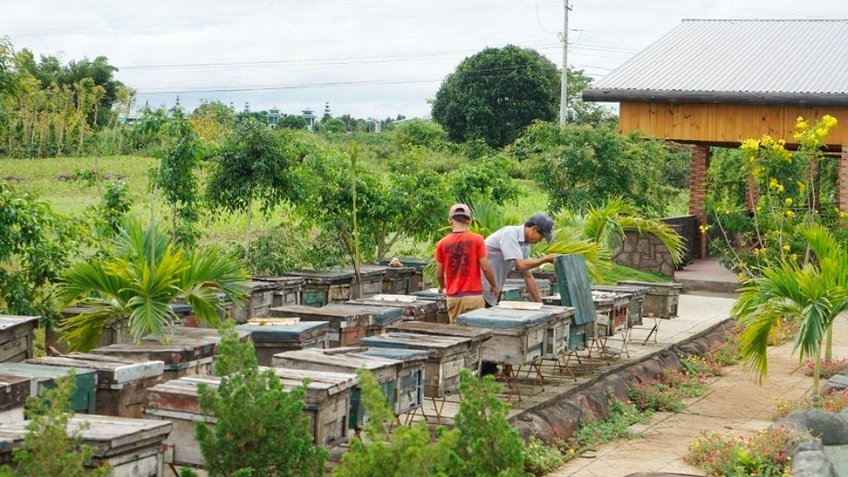 Đà Lạt: Thác Dantala - Puppy Farm - Núi LangBiang 4N3Đ