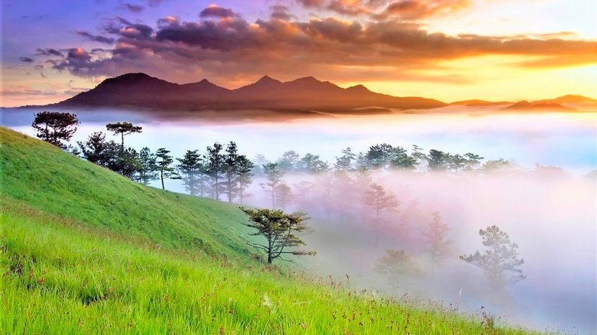 Đà Lạt: Thành Phố Ngàn Hoa Mộng Mơ 3N2Đ