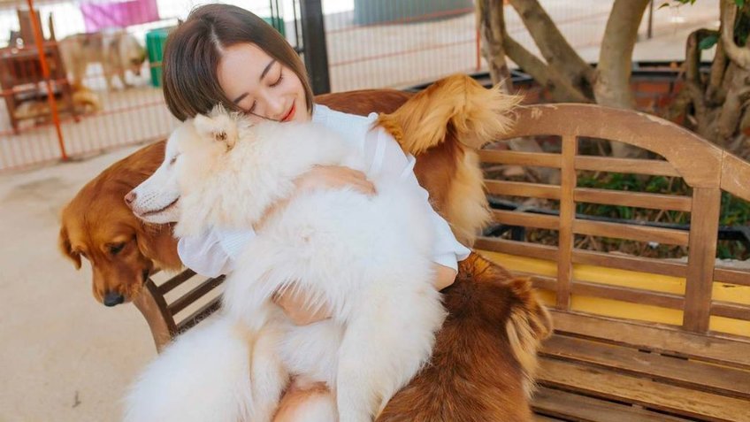 Đà Lạt: Thành Phố Ngàn Hoa Mộng Mơ 3N2Đ