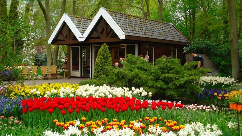 Đà Lạt: Thành Phố Ngàn Hoa Mộng Mơ 3N2Đ