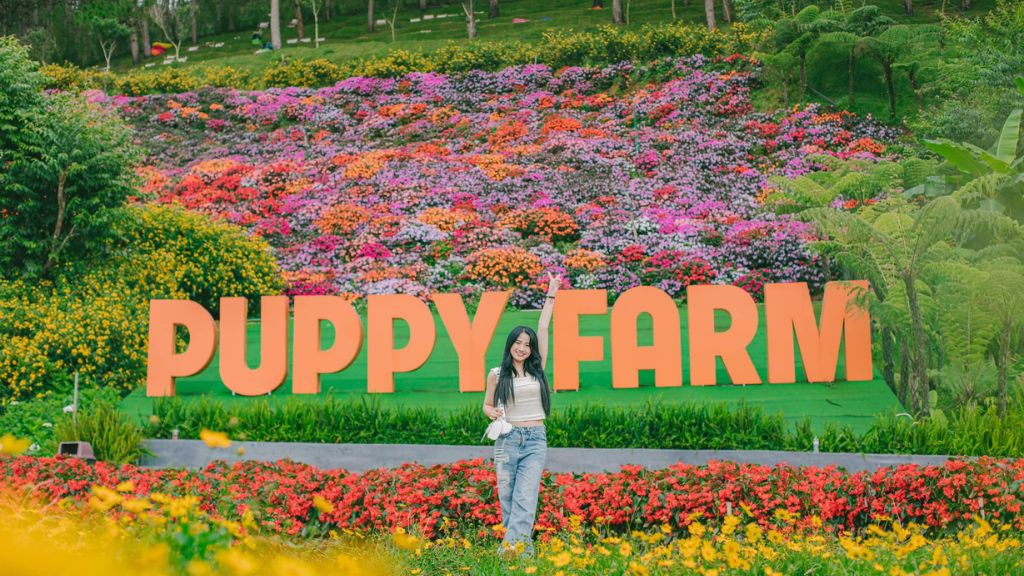 Puppy Farm điểm du lịch Đà Lạt chú ý