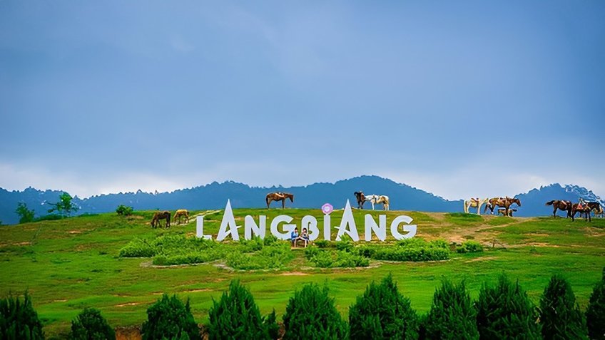 Đà Lạt - Vẻ Đẹp Xứ Thông Reo 3N2Đ