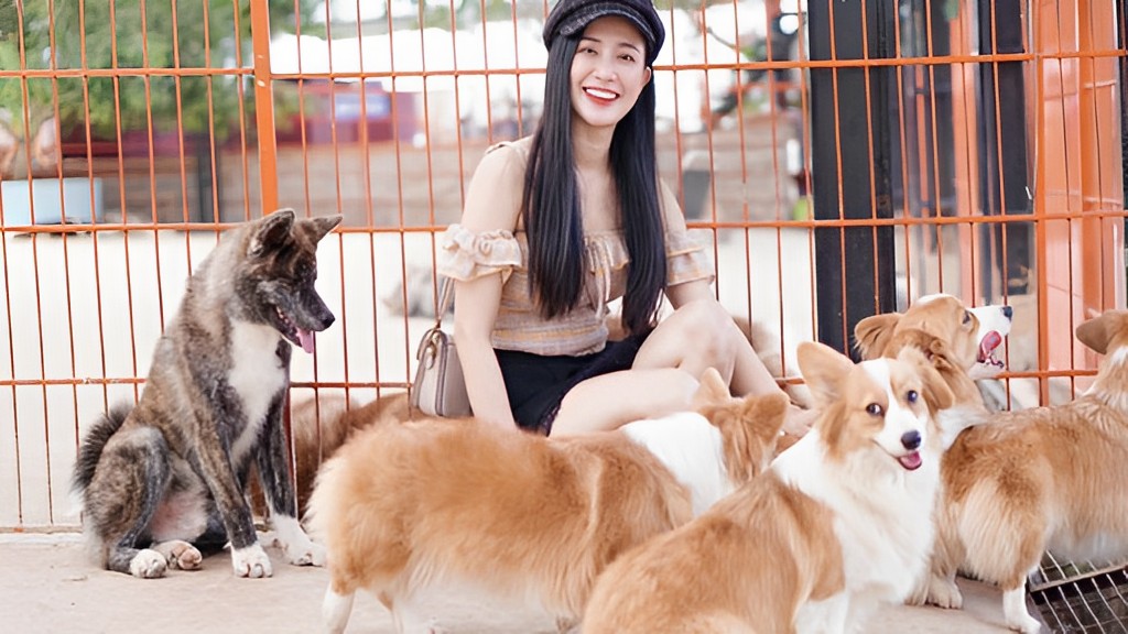 Vui chơi và check-in trong nông trại cún