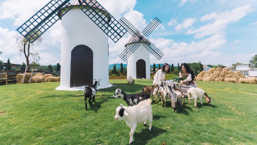 Mongo Land - điểm đến mới mẻ đầy thú vị