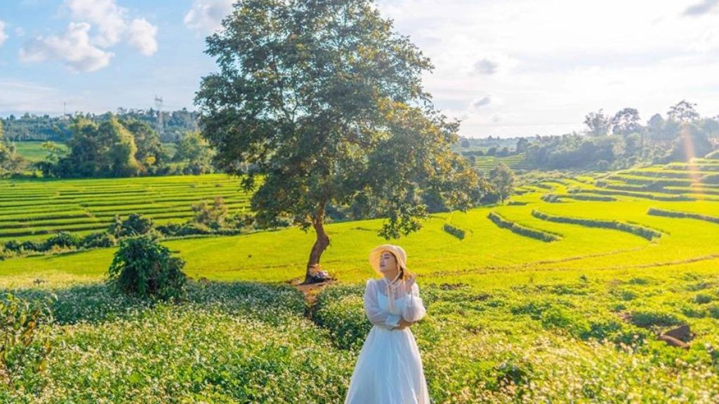Biển hồ chè với không gian rộng lớn, yên bình