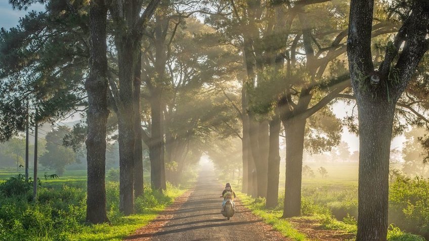 Tour Tây Nguyên 5 Ngày 4 Đêm | Hà Nội - Pleiku - Kon Tum - Buôn Ma Thuột | Vietpower Travel