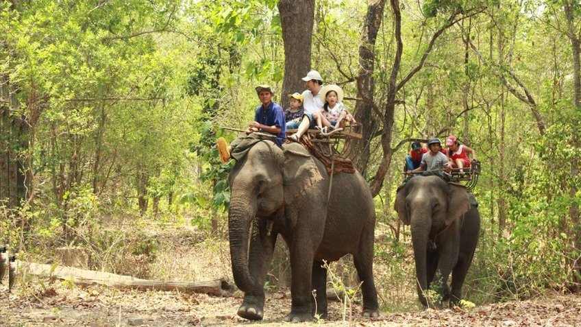 Tour Lào 6 Ngày 5 Đêm | Khám Phá Luang Prabang - Viêng Chăn - Cánh Đồng Chum