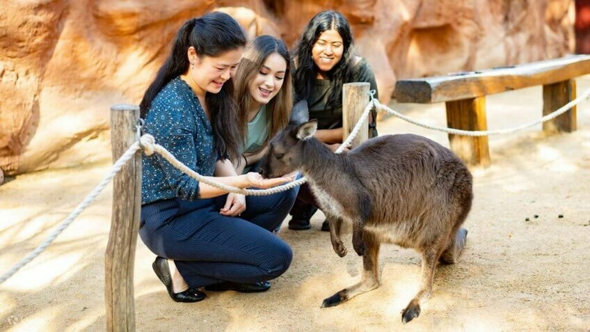 Dịu dàng mùa đông nước Úc: Hà Nội - Sydney - Canberra - Melbourne - Dandenong 7N6Đ