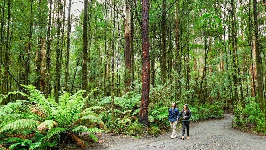 Dịu dàng mùa đông nước Úc: Hà Nội - Sydney - Canberra - Melbourne - Dandenong 7N6Đ