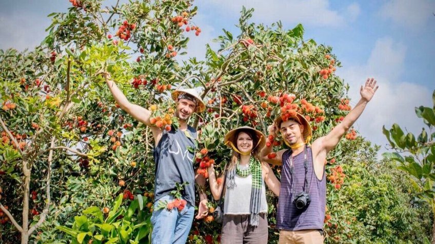 Tour Miền Tây 3 Ngày 2 Đêm Tết | TP.HCM – Mỹ Tho – Châu Đốc – Cần Thơ