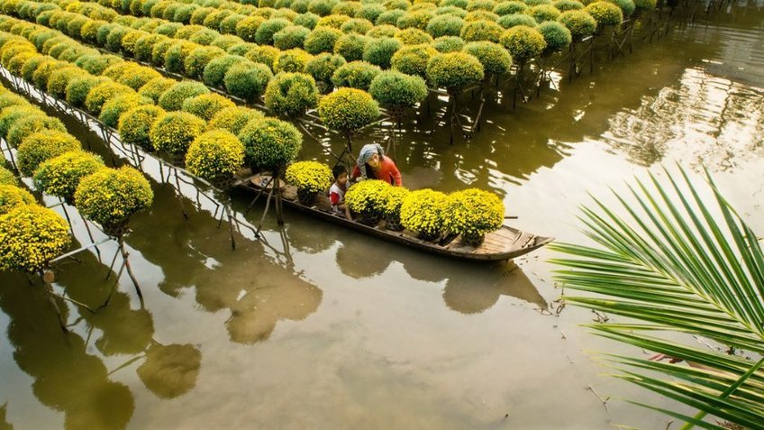 Tour Miền Tây 3 Ngày 2 Đêm Tết | TP.HCM – Mỹ Tho – Châu Đốc – Cần Thơ