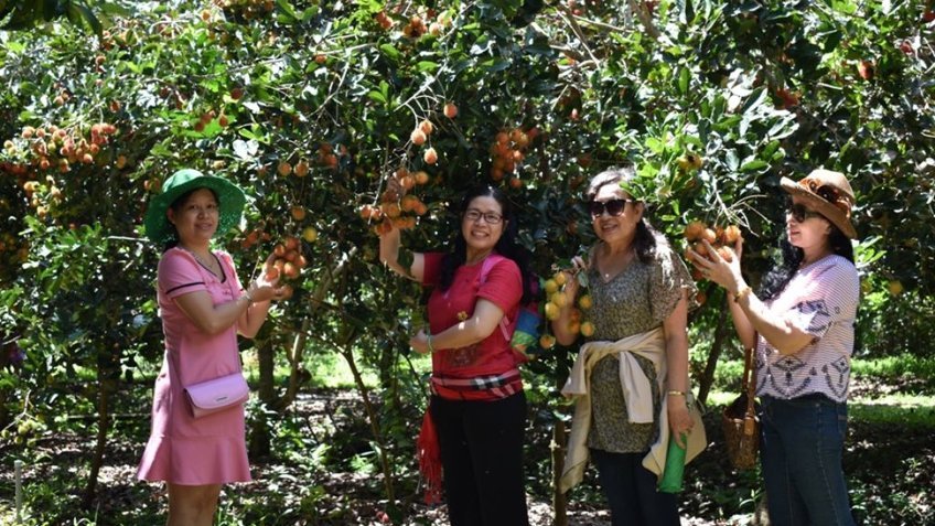 Tour Miền Tây 3 Ngày 2 Đêm Tết | TP.HCM – Mỹ Tho – Châu Đốc – Cần Thơ