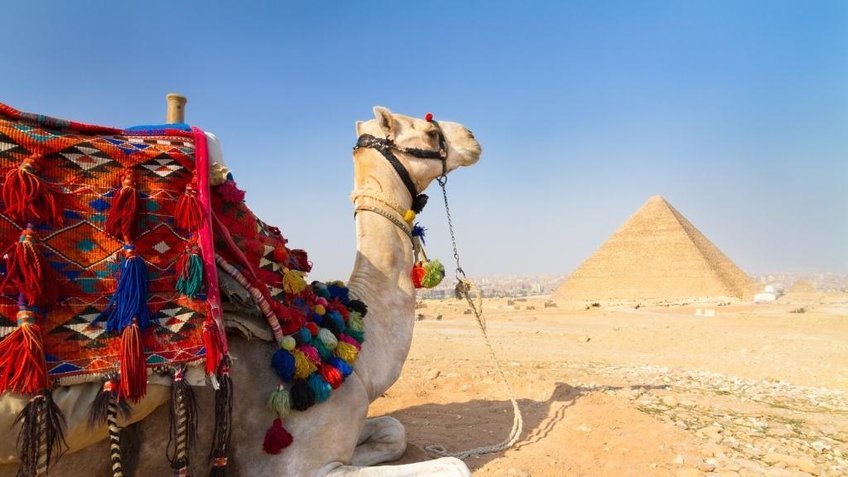 Tour Ai Cập 8 Ngày 7 Đêm | Cairo - Du Thuyền Sông Nile - Luxor - Aswan | Vietpower
