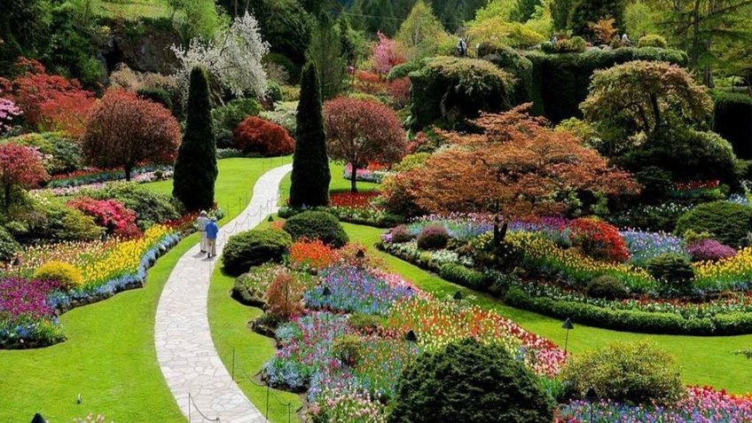 Du lịch Bờ Tây Canada vi vu Vancouver 6N5Đ