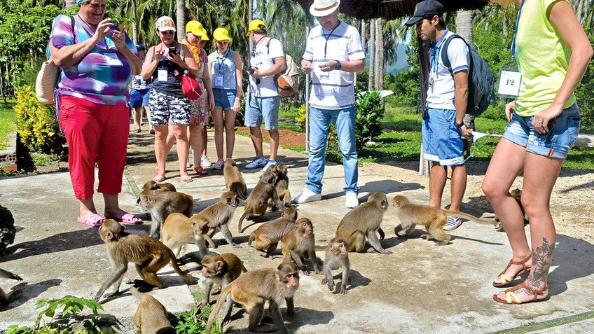 Du Lịch Cần Giờ 2N1Đ: Tour Riêng Đoàn, Công ty