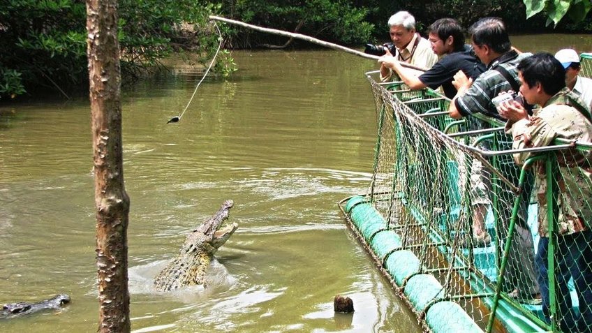 Du Lịch Cần Giờ 2N1Đ: Tour Riêng Đoàn, Công ty