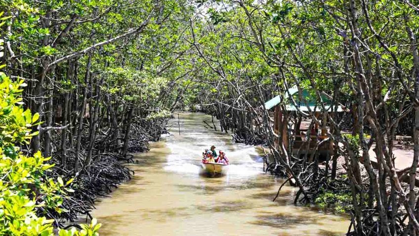 Du Lịch Cần Giờ 2N1Đ: Tour Riêng Đoàn, Công ty