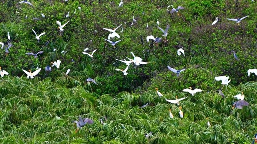 Du Lịch Cần Giờ 2N1Đ: Tour Riêng Đoàn, Công ty