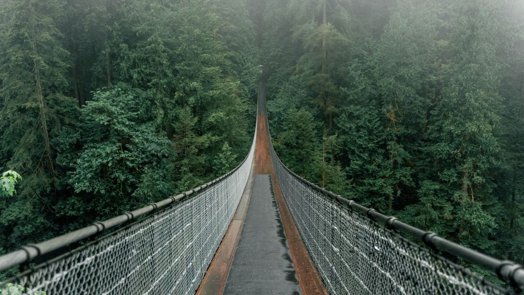 Capilano Suspension Bridge