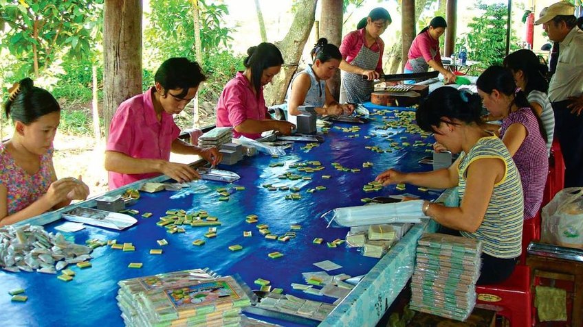 Tour Sài Gòn – Bến Tre 2 Ngày 1 Đêm | City Tour Hồ Chí Minh Khám Phá Miền Tây | Vietpower