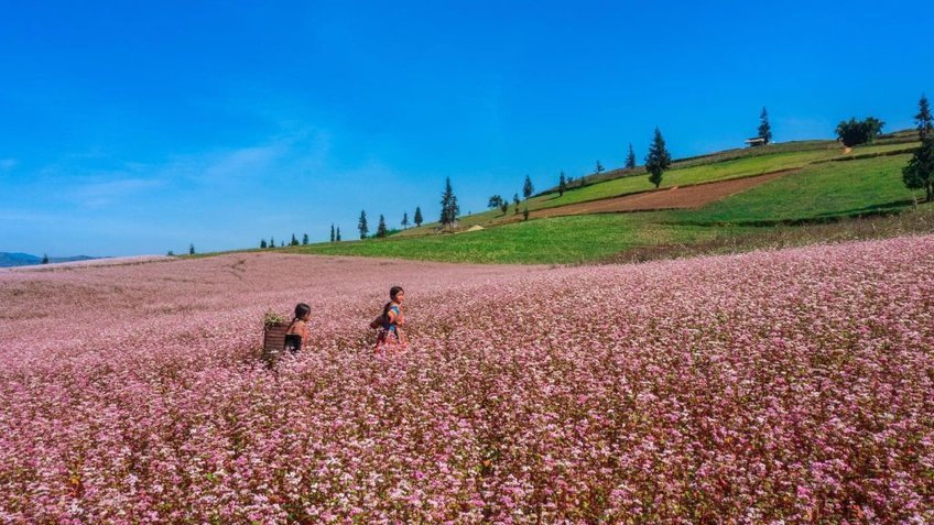 Du lịch Hà Giang 4N4Đ (Bao gồm vé máy bay)