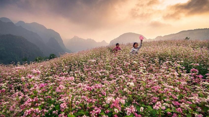 Du lịch Hà Giang 4N4Đ (Bao gồm vé máy bay)